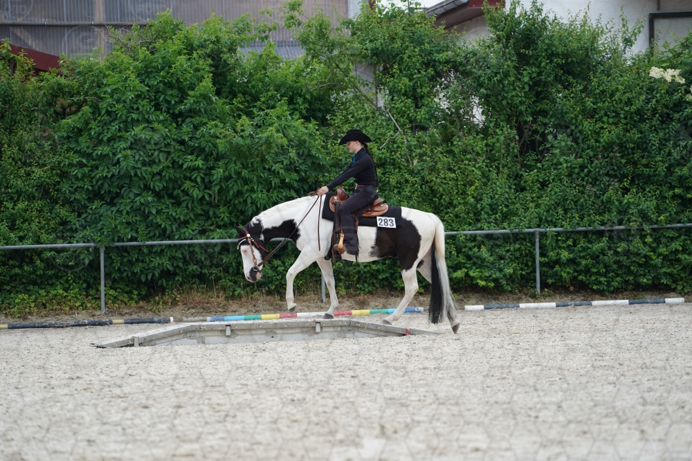 s_A9_06681.jpg